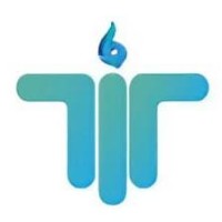 Taurus Infinity Technologies logo - Similar company to Taurus Infinity Technologies