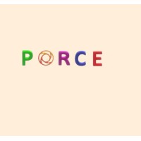 Porce Consulting Services LLC logo - Similar company to Elixir It Solution