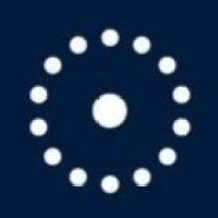 Nelsonspirit logo - Similar company to Synkii