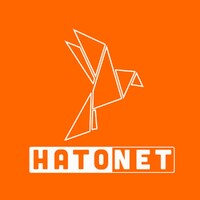 Hatonet Global logo - Similar company to Bcp – Business Connecting Platform