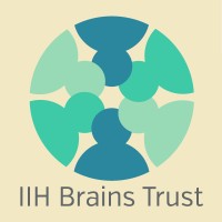 IIH Brains Trust logo - Similar company to Iih-Hub