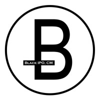 Black IPO, Inc. logo - Similar company to Gilroy Napoli Short Law Group