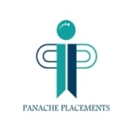 PANACHE PLACEMENTS logo - Similar company to Digital Maverick Media