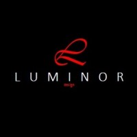 Luminor logo - Similar company to Gee Gee Foundations