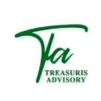 Treasuris Advisory logo - Similar company to Treasuris Group