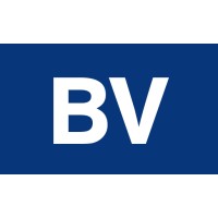 BrandVenue.com logo - Similar company to Tapcommerce