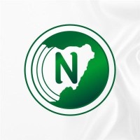 NewsOnline Nigeria logo - Similar company to Afrocritik