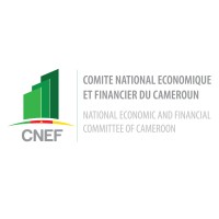 CNEF CAMEROUN logo - Similar company to Ams Insurance Services Ltd