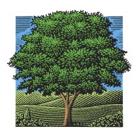 Chestnut Square at The Glen logo - Similar company to Illinois Continuity Of Care Association