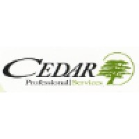 Cedar Professional Services (UK) Ltd logo - Similar company to Sfc&C