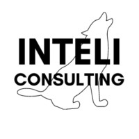 Inteli Consulting logo - Similar company to Intelli Consulting