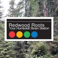 Redwood Roots Distribution logo - Similar company to Dopecy Holding Inc