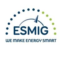ESMIG logo - Similar company to Meter&Control