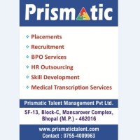 PRISMATIC TALENT MANAGEMENT PVT LTD logo - Similar company to Premium Outsourcing Solution