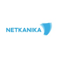 NETKANIKA logo - Similar company to Ooo Unpk