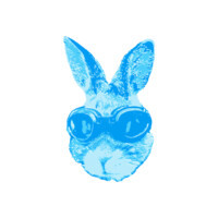 Lapin Quotidien logo - Similar company to Clipp - Interprofession Du Lapin