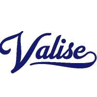 Valise logo - Similar company to Consensus Digital Media