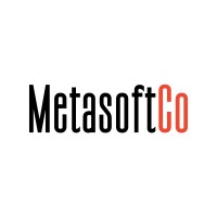 Metasoft Company logo - Similar company to Dengetek