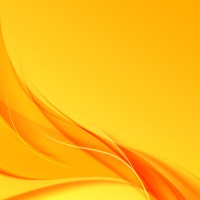 Mallmann Consulting