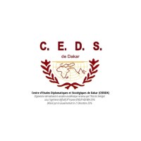 CEDS DE DAKAR logo - Similar company to Vision It-Niger