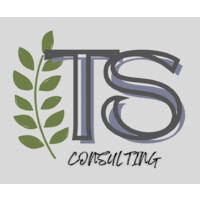 TS Consulting logo - Similar company to Ts Consulting