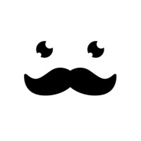 BeriDari logo - Similar company to Execue