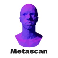 Metascan logo - Similar company to Thedatafirm