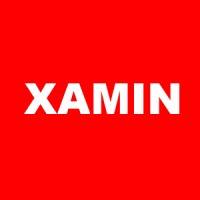 XAMIN CONSULTING logo - Similar company to Andrea Caenazzo