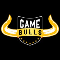 GameBulls Pvt Ltd logo - Similar company to Asvathaa Inc