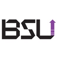 BSU Web Development And Consultancy logo - Similar company to Dream Web Development شركة دريم لتطوير الويب
