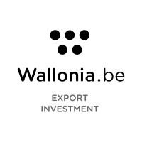 Wallonia in Kazakhstan logo - Similar company to Smooth Luxury Logistics
