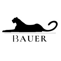 Bauer Consulting logo - Similar company to Mont Gerrard