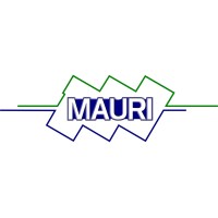 Mauri Bus System S.r.l. logo - Similar company to Otokar Italia Srl