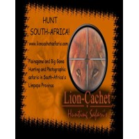 Lion-Cachet Hunting Safaris.