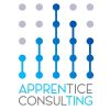 Apprentice Consulting logo - Similar company to Current Data, Llc