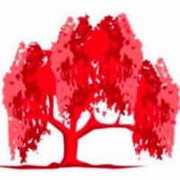 Bid Sorkh logo - Similar company to Glonico
