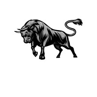 Wall Street Funding logo - Similar company to Lambra Co