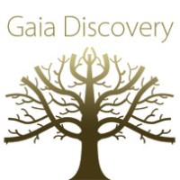 Gaia Discovery logo - Similar company to This Projective