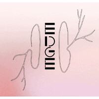 EDGE - Blurring the Borders between Art and Neuroscience logo - Similar company to Forte Science Communications