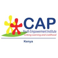 CAP Youth Empowerment Institute logo - Similar company to Cap Foundation