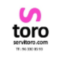 Servitoro logo - Similar company to Instituto Juan Belmonte