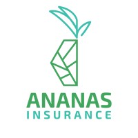 Ananas Insurance logo - Similar company to Onenest