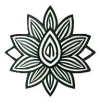 PlantMedica logo - Similar company to Digital Systems