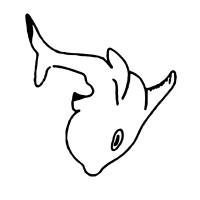 DELTA OCEAN S.A logo - Similar company to We-Pack