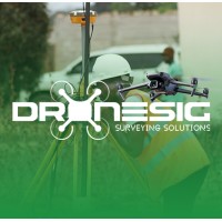 Dronesig Angola logo - Similar company to Dn Contabilidade