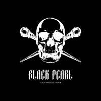 Black Pearl Tour Production LTD logo - Similar company to Scorpion Event Solutions Ltd