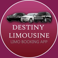 Destiny Limousine Ltd logo - Similar company to Kingdom Solutions