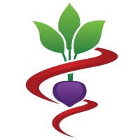 Karen Davis Nutrition logo - Similar company to Solocomo.Uno