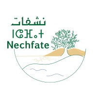 Nechfate logo - Similar company to Tiki-Data