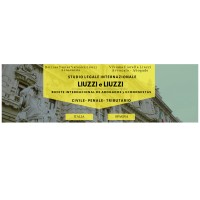 Liuzzi e Liuzzi International law & tax Firm in Italy and Spain. Civil law, criminal law, tax law logo - Similar company to Moggi Solutions